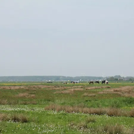 Landhuis Μπέργκεν